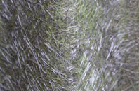 Fotheringhay fibreglass roof work